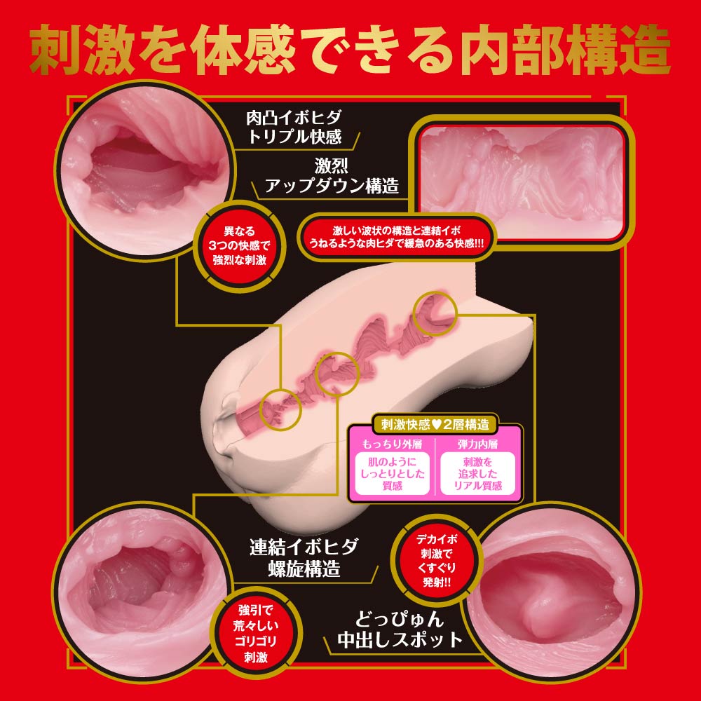JAPANESE REAL HOLE: Geki Shin Arina