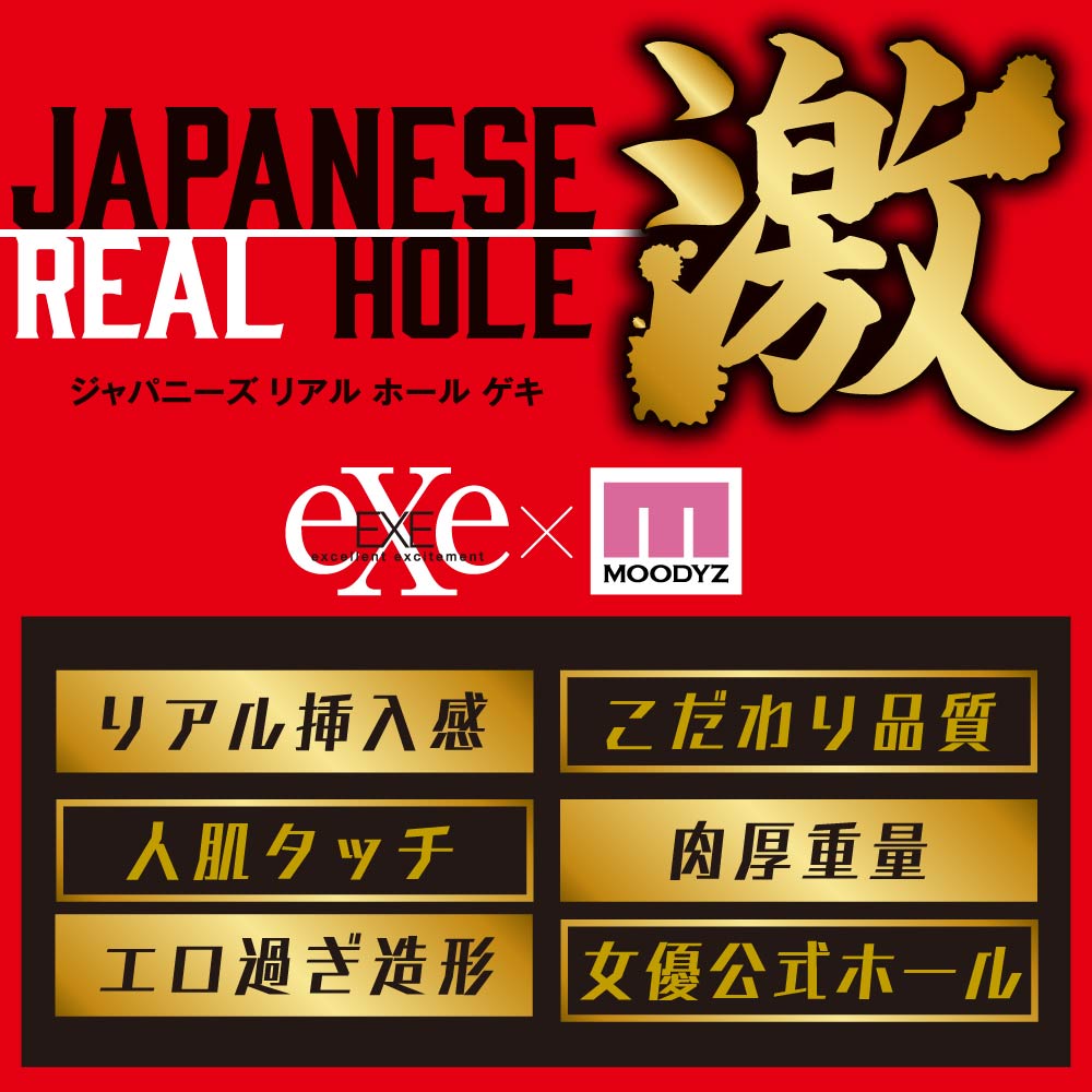 JAPANESE REAL HOLE: Geki Shin Arina