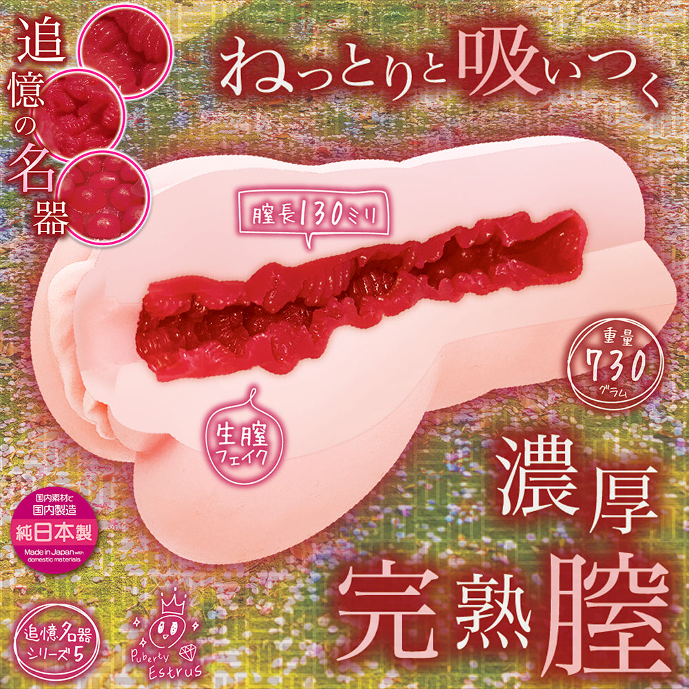 Shishunki Estras