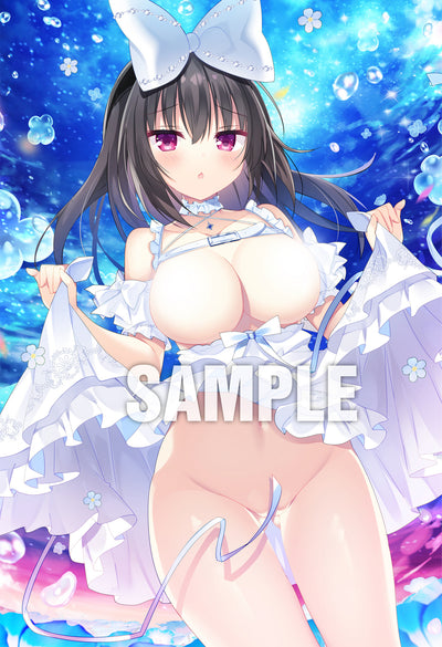 Couverture du Megastore B2 Tapisserie B Shiromochi Sakura Couverture du numéro de novembre du Megastore