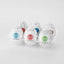 EGG Variety Pack - New Standard 