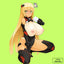 Punianaroid R2
