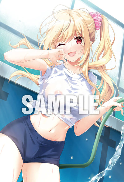 HOOKSOFT B2 Tapestry Secret Love (Kari) Akatsuka Haru Newly Drawn B2 Tapestry