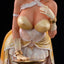 Original Character by Oda non PVC Statue 1/5 Tobari Enoto 31 cm